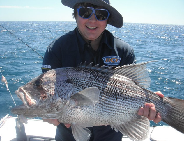 6kg Dongara Dhu 6kg Dongara Dhu